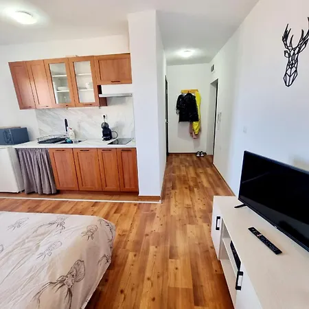 Apartament Vihren 11,bansko Bansko