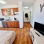 Apartment Vihren 11,bansko Bansko