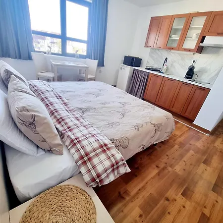 Vihren 11,bansko Apartment