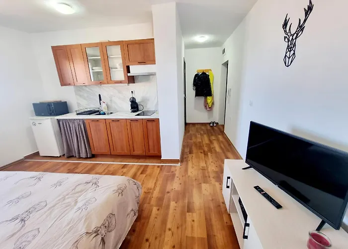 Apartment Vihren 11,bansko Bansko