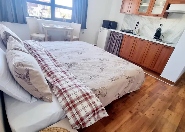 Vihren 11,bansko Apartment